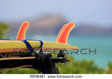 Stock Image - United States, Hawaii, Oahu island, Kailua beach. Fotosearch