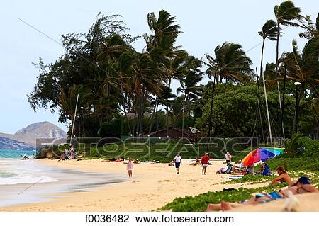 United States, Hawaii, Oahu island, Kailua beach View Large Photo Image Stock Image - United States, Hawaii, Oahu island, Kailua beach. Fotosearch
