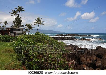 Stock Image - United States, Hawaii, Oahu island, North Shore. Fotosearch