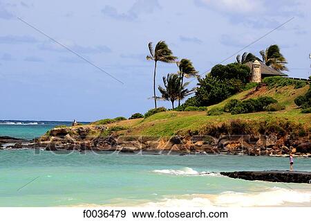 United States, Hawaii, Oahu island, Kailua beach View Large Photo Image Stock Photo - United States, Hawaii, Oahu island, Kailua beach. Fotosearch