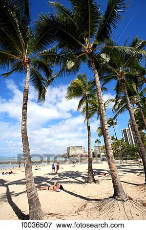 Stock Photo - United States, Hawaii, Oahu island, Waikiki beach. Fotosearch