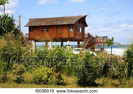 Stock Photo - United States, Hawaii, Oahu island, North Shore, house on stilts. Fotosearch