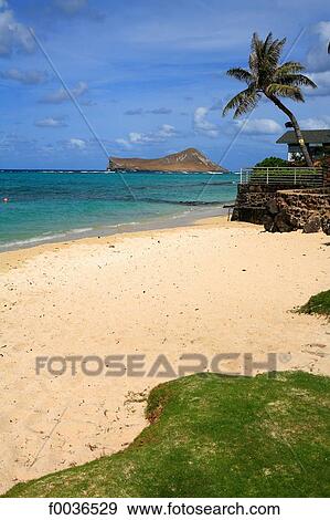 United States, Hawaii, Oahu island, Kailua, Manana island View Large Photo Image Stock Photo - United States, Hawaii, Oahu island, Kailua, Manana island. Fotosearch