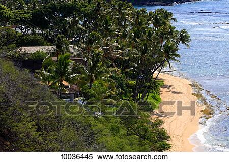United States, Hawaii, Oahu island, Dimanond Head beach View Large Photo Image Stock Photography - United States, Hawaii, Oahu island, Dimanond Head beach. Fotosearch