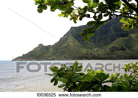 United States, Hawaii, Oahu island, Kahana bay View Large Photo Image Stock Photography - United States, Hawaii, Oahu island, Kahana bay. Fotosearch