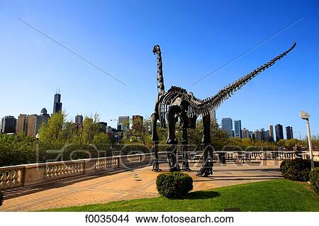 United States, Illinois, Chicago, dinosaur in front of the museum of natural history View Large Photo Image Picture - United States, Illinois, Chicago, dinosaur in front of the museum of natural history. Fotosearch