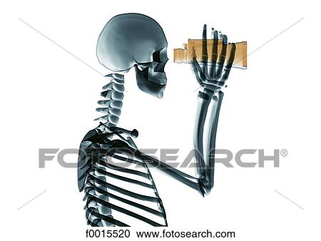 Skeleton: binoculars View Large Photo Image Stock Image - Skeleton: binoculars. Fotosearch