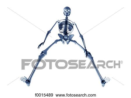 Skeleton: falling man View Large Photo Image Stock Photo - Skeleton: falling man. Fotosearch