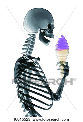 Stock Image - Skeleton: ice-cream. Fotosearch
