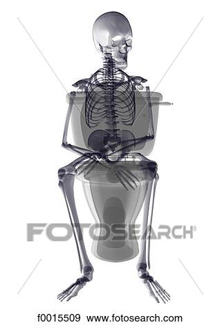Skeleton: in the bathroom View Large Photo Image Stock Photo - Skeleton: in the bathroom. Fotosearch