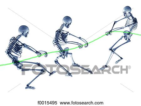 Stock Photography - Skeleton: rope pulling. Fotosearch