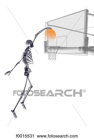 Skeleton: sports (basket-ball) View Large Photo Image Stock Image - Skeleton: sports (basket-ball). Fotosearch