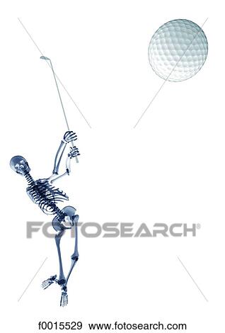 Stock Photo - Skeleton: sports (golf). Fotosearch