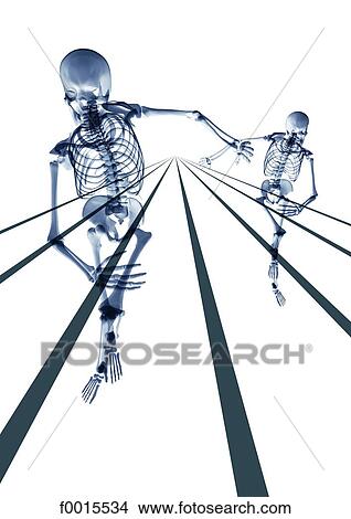 Skeleton: sports (race) View Large Photo Image Picture - Skeleton: sports (race). Fotosearch