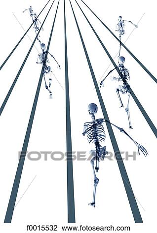 Skeleton: sports (race) View Large Photo Image Stock Image - Skeleton: sports (race). Fotosearch