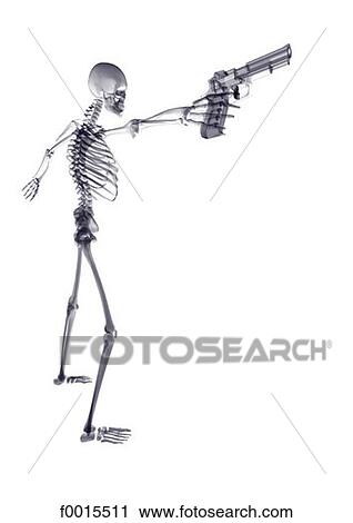 Stock Image - Skeleton: with a gun. Fotosearch