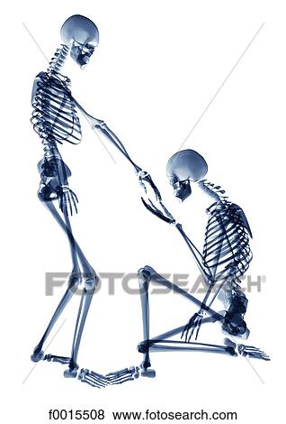 Skeletons: falling in love View Large Photo Image Stock Photo - Skeletons: falling in love. Fotosearch