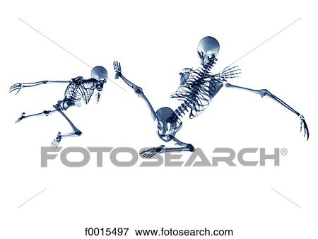 Skeletons: fight View Large Photo Image Stock Photo - Skeletons: fight. Fotosearch