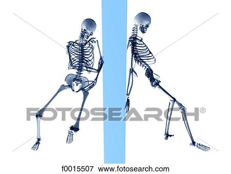 Skeletons: fight View Large Photo Image Stock Photo - Skeletons: fight. Fotosearch
