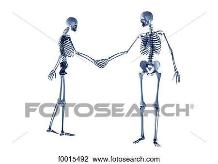 Skeletons: shake hands View Large Photo Image Stock Image - Skeletons: shake hands. Fotosearch