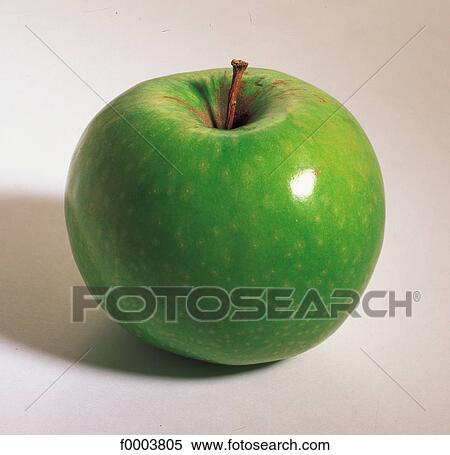 Fruits and vegetables, apple, Grany Smith apple, green, food, pip fruit View Large Photo Image Stock Photography - Fruits and vegetables, apple, Grany Smith apple, green, food, pip fruit. Fotosearch