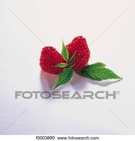 Fruits and vegetables, food, fruit, fruits, berry currant, leaf View Large Photo Image Stock Image - Fruits and vegetables, food, fruit, fruits, berry currant, leaf. Fotosearch