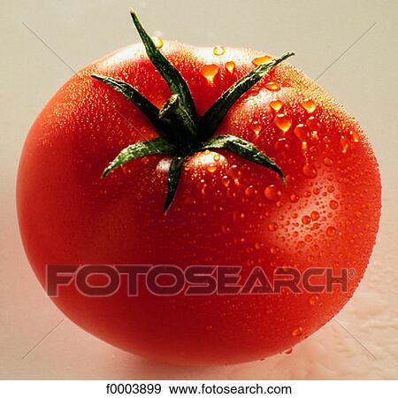 Stock Photo - Fruits and vegetables, food, vegetable, fruit vegetable, tomato, red. Fotosearch