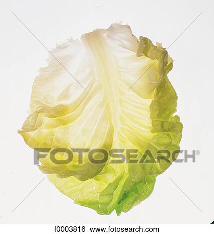 Fruits and vegetables, food, vegetable, salad, lettuce, leaf View Large Photo Image Stock Photograph - Fruits and vegetables, food, vegetable, salad, lettuce, leaf. Fotosearch
