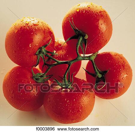 Fruits and vegetables, food, vegetable, fruit vegetable, cluster, tomato View Large Photo Image Stock Photograph - Fruits and vegetables, food, vegetable, fruit vegetable, cluster, tomato. Fotosearch