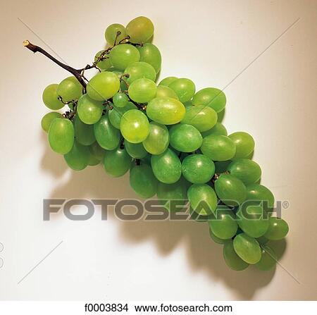 Fruits and vegetables, fruit, fruits, pip fruit, food, bunch of grapes View Large Photo Image Picture - Fruits and vegetables, fruit, fruits, pip fruit, food, bunch of grapes. Fotosearch