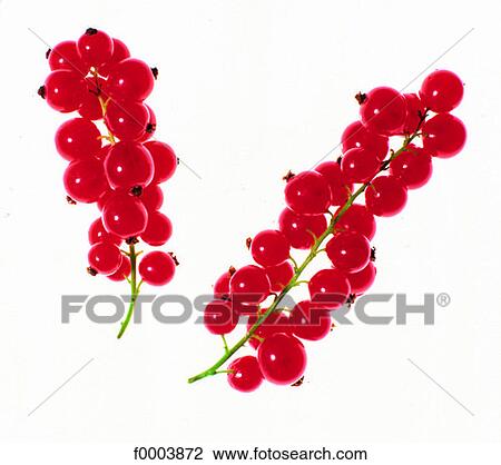 Fruits and vegetables, fruit, fruits, berry currant, food, cluster View Large Photo Image Stock Image - Fruits and vegetables, fruit, fruits, berry currant, food, cluster. Fotosearch