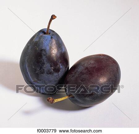 Fruits and vegetables, fruit, fruits, stone fruit, food, plum View Large Photo Image Stock Photo - Fruits and vegetables, fruit, fruits, stone fruit, food, plum. Fotosearch