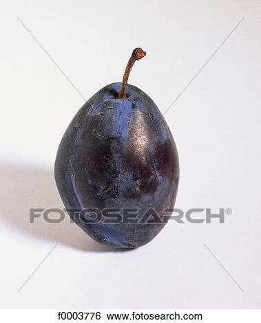 Fruits and vegetables, fruit, fruits, stone fruit, food, plum View Large Photo Image Stock Photograph - Fruits and vegetables, fruit, fruits, stone fruit, food, plum. Fotosearch
