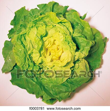 Fruits and vegetables, salad, food, green, vegetable, leaf View Large Photo Image Stock Image - Fruits and vegetables, salad, food, green, vegetable, leaf. Fotosearch