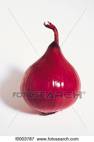 Fruits and vegetables, vegetable, bulb vegetable, onion, red, food View Large Photo Image Stock Photo - Fruits and vegetables, vegetable, bulb vegetable, onion, red, food. Fotosearch