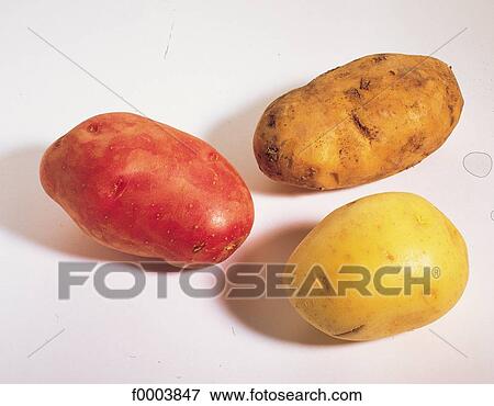 Fruits and vegetables, vegetable, potato, food, tuber View Large Photo Image Stock Photo - Fruits and vegetables, vegetable, potato, food, tuber. Fotosearch