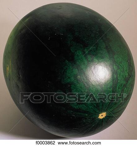 Stock Image - Fruits and vegetables, water melon, food, green, fruit, fruits. Fotosearch