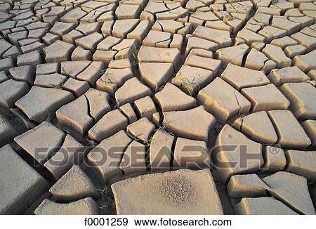 Elements and Nature, crakle, dryness, dry, aridity, dry ground View Large Photo Image Stock Photo - Elements and Nature, crakle, dryness, dry, aridity, dry ground. Fotosearch
