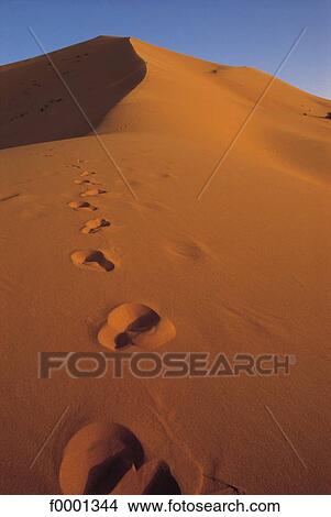 Elements and Nature, landscape, sand, dune, step, loneliness View Large Photo Image Picture - Elements and Nature, landscape, sand, dune, step, loneliness. Fotosearch