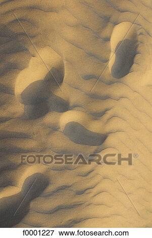 Elements and Nature, loneliness, lonely, step, footprint, sand View Large Photo Image Stock Photo - Elements and Nature, loneliness, lonely, step, footprint, sand. Fotosearch