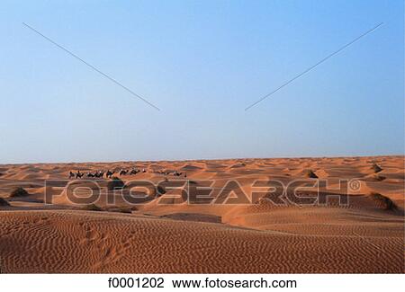 Elements and Nature, sand, landscape, skyline, Tunisia, Northern Africa View Large Photo Image Stock Image - Elements and Nature, sand, landscape, skyline, Tunisia, Northern Africa. Fotosearch