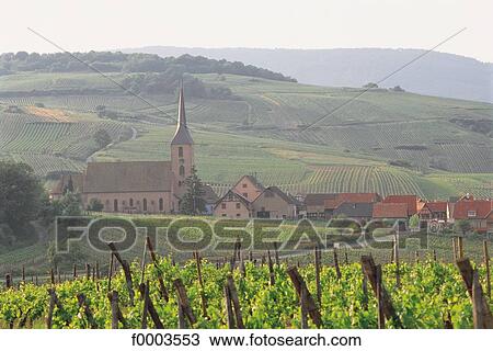 France, Alsace, Bleinschwiller, wine route View Large Photo Image Stock Image - France, Alsace, Bleinschwiller, wine route. Fotosearch