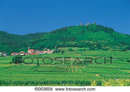 Stock Photography - France, Alsace, Village of Husseren-les-Châteaux and the three towers of . Fotosearch
