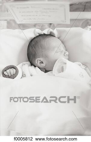 Babies, lifestyle, inside, indoor, indoor shots View Large Photo Image Stock Image - Babies, lifestyle, inside, indoor, indoor shots. Fotosearch