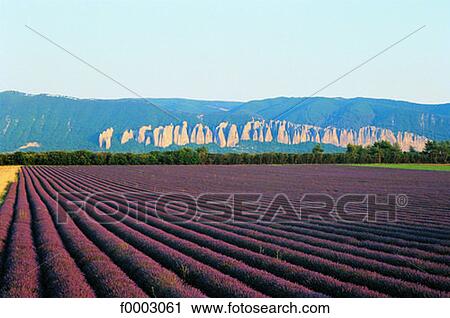 Stock Image - France, Alps of Haute-Provence. Fotosearch