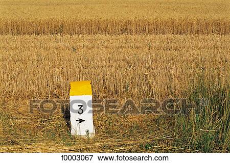 Stock Photo - France, Avignon, wheat field and milestone. Fotosearch