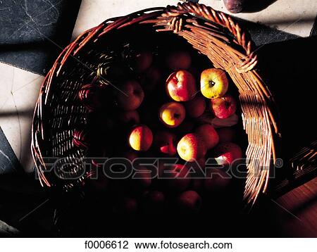 France, Normandy, Apple harvest View Large Photo Image Stock Image - France, Normandy, Apple harvest. Fotosearch