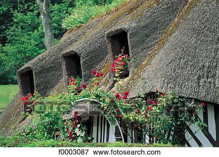 France, Normandy, Norman house, thatched roof View Large Photo Image Stock Photo - France, Normandy, Norman house, thatched roof . Fotosearch