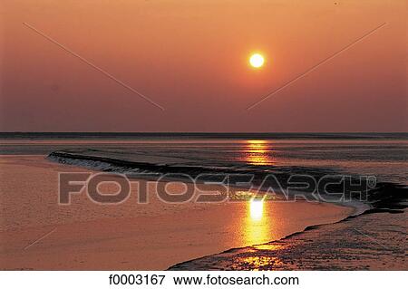 Stock Photo - France, Normandy, Sunset, near Mont Saint Michel. Fotosearch
