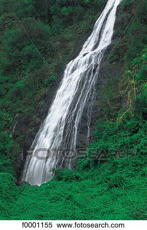 Reunion, Cirque of Salazie, waterfall View Large Photo Image Stock Photography - Reunion, Cirque of Salazie, waterfall. Fotosearch